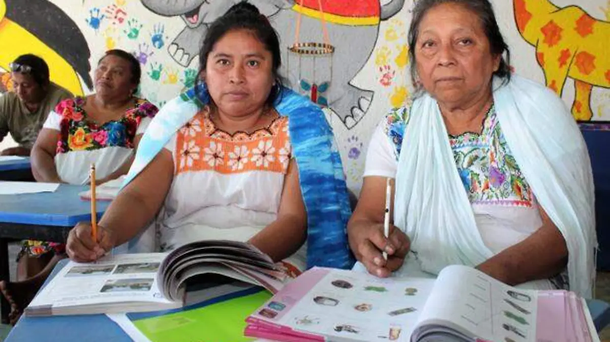 1 educacion-indigena